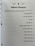 Basics of Biblical Hebrew Grammar Bundle